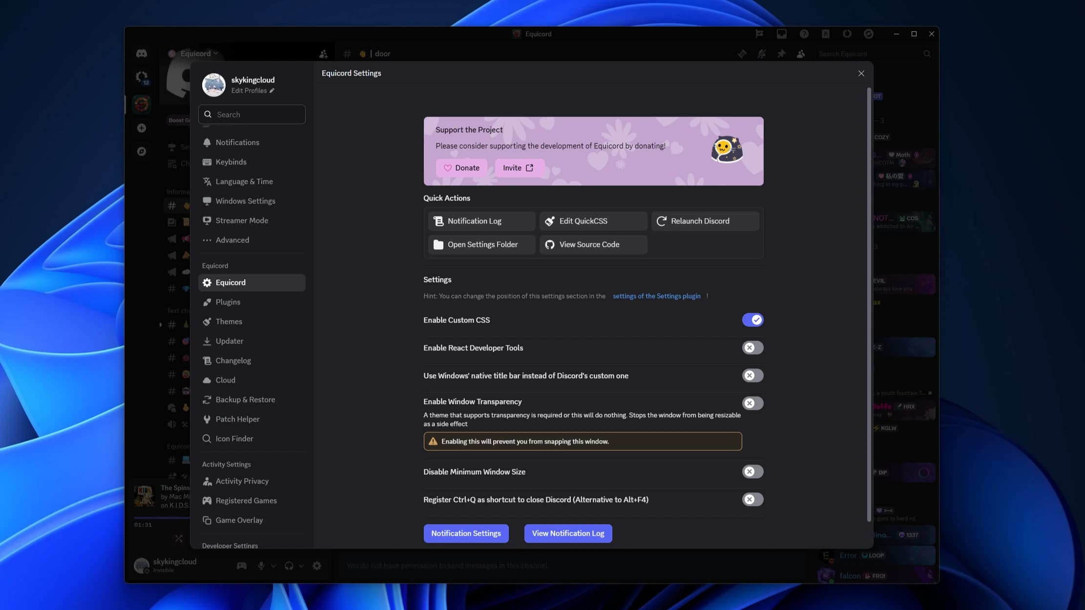 Equicord Settings Interface